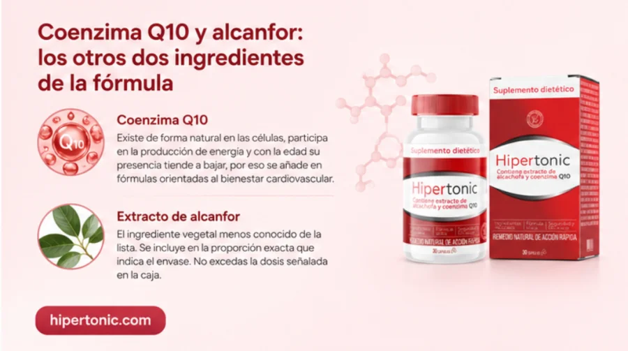 Coenzima Q10 y alcanfor en la fórmula de {{OFFER_NAME}}