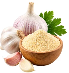 Extracto seco desodorizado de ajo en {{OFFER_NAME}}