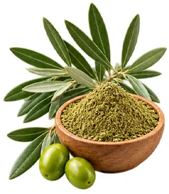 Polvo de hojas de olivo en {{OFFER_NAME}}